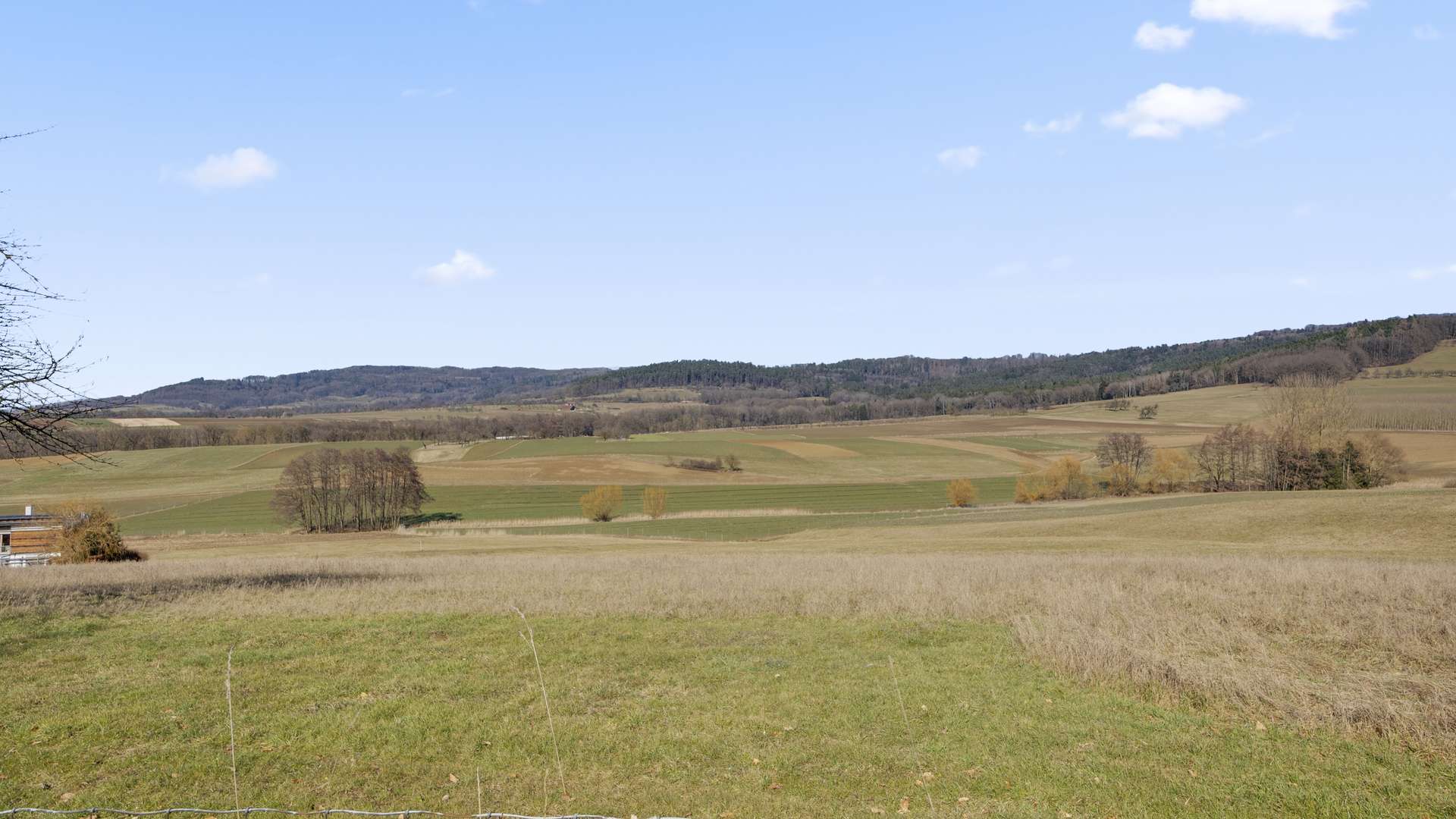 Aussicht vom Garten