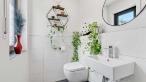 EG - WC