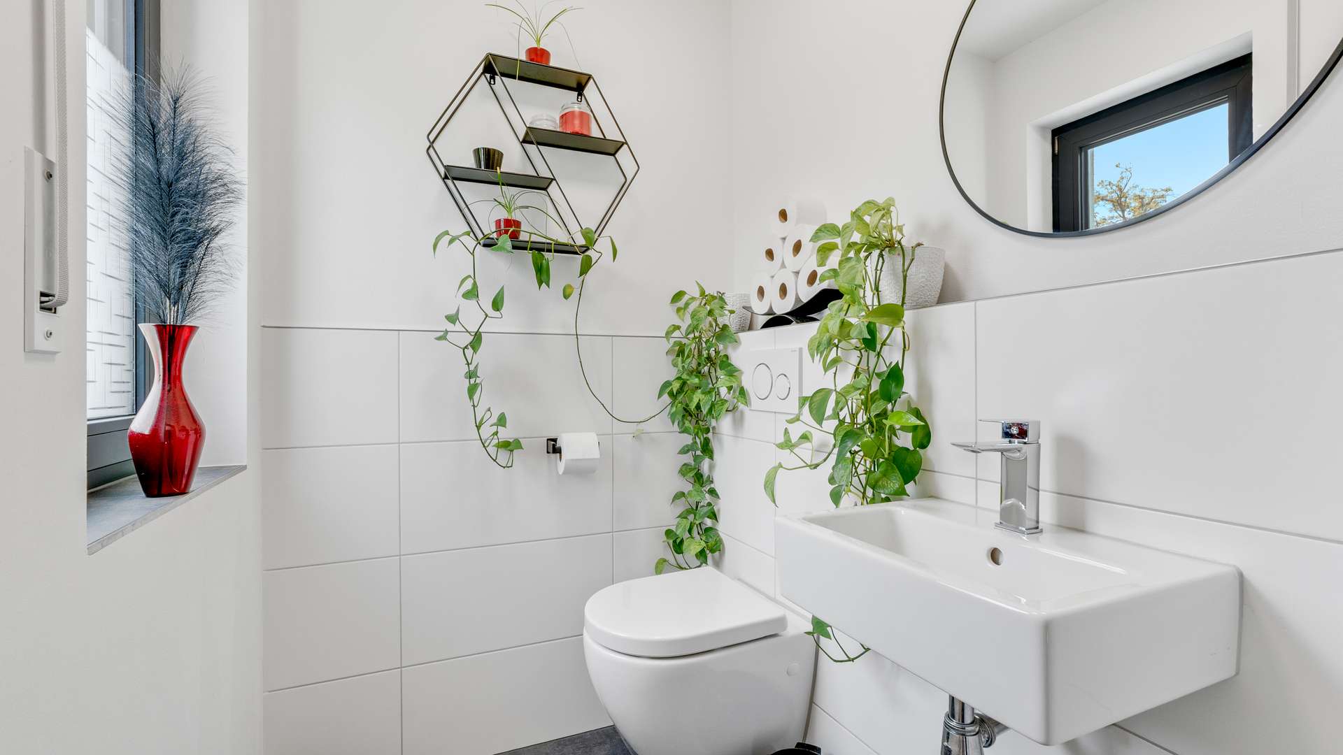 EG - WC