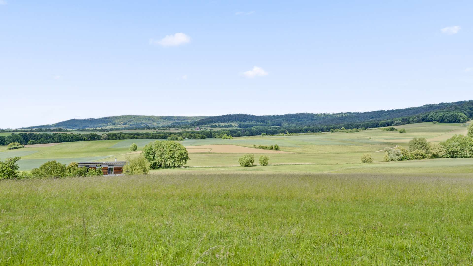 Aussicht vom Garten